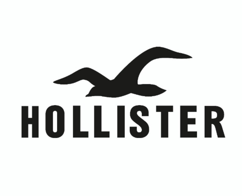 Acheter Hollister